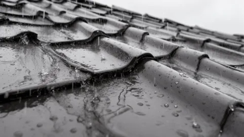 blachodachówka minimalny spadek