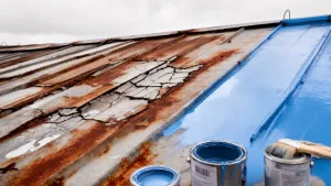 farby do malowania dachów